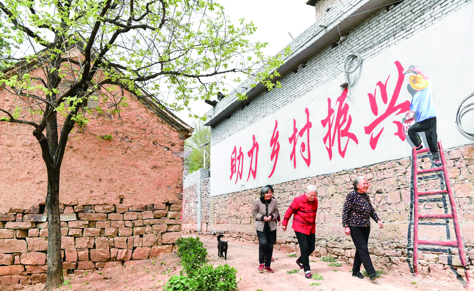 近年來,隨著出山公路變成了柏油路,地處大山深處的汝州市焦村鎮魏溝村