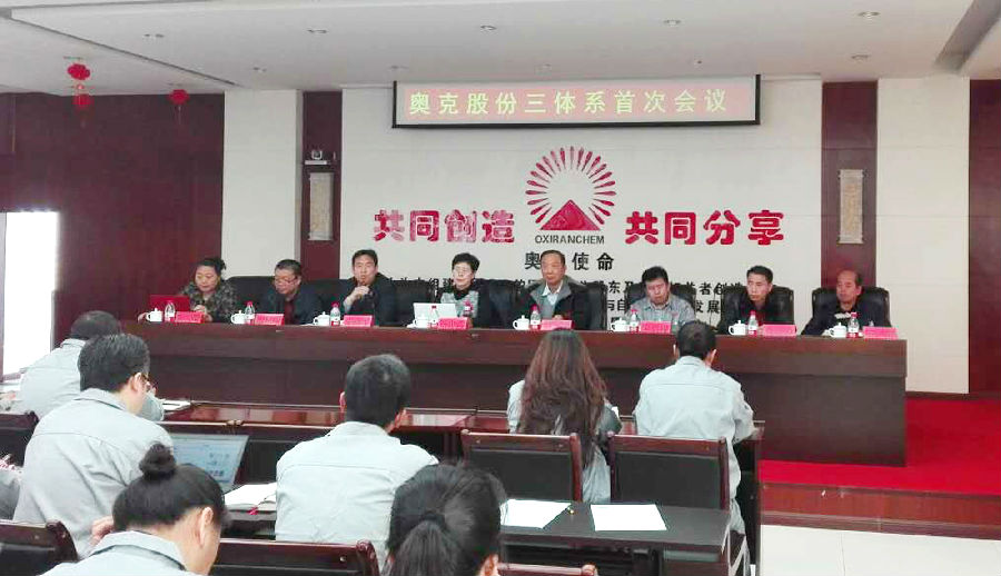 辽宁奥克化学股份公司顺利通过2016年度第三方认证审核.jpg