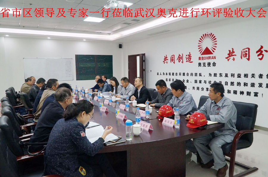 省市区安环局领导及安全环保专家一行莅临武汉奥克进行环评验收.png