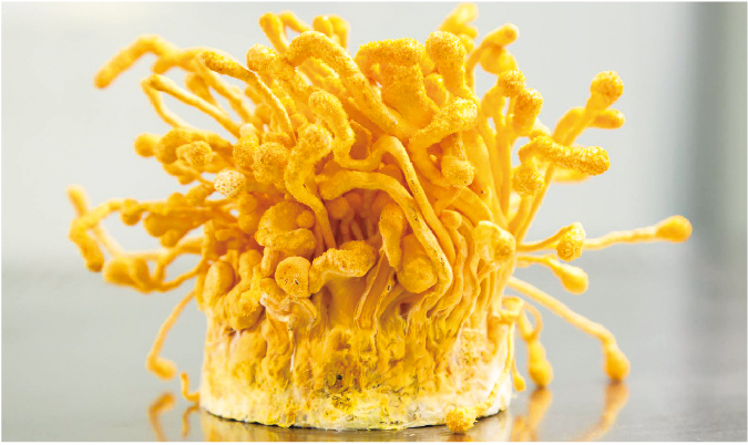 资源 381@3x-8问问.jpg